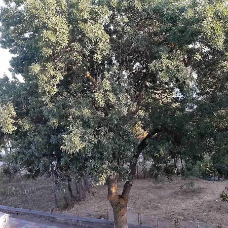 Kostovi 3* פרימורסקו