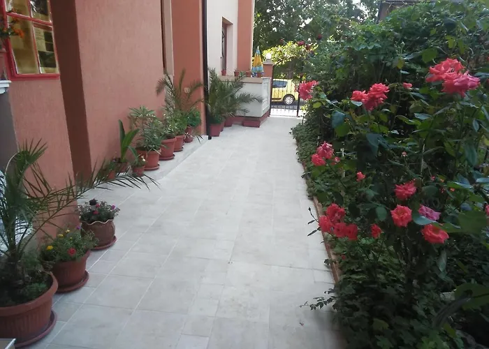 게스트하우스 Kostovi